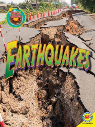 Buch Earthquakes Jennifer Nault