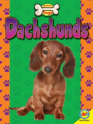 Könyv Dachshunds Susan Heinrichs Gray