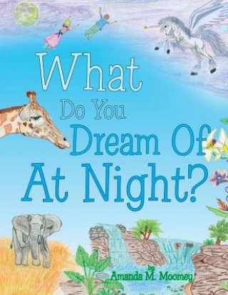 Könyv What Do You Dream of at Night? Amanda M. Moomey