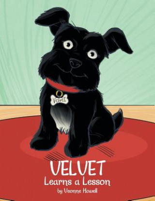 Buch Velvet Learns a Lesson Veonne Howell
