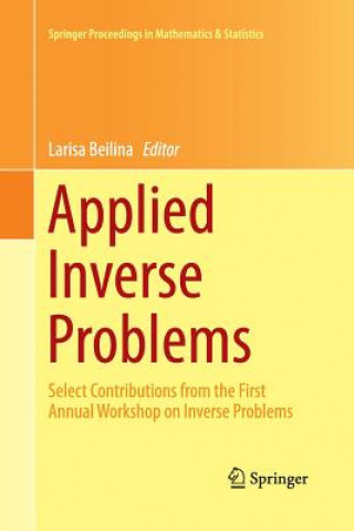 Kniha Applied Inverse Problems Larisa Beilina