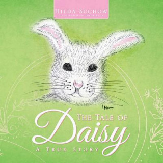 Book Tale of Daisy Hilda Suchow