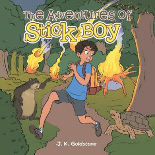Carte Adventures of Stick Boy J. K. Goldstone