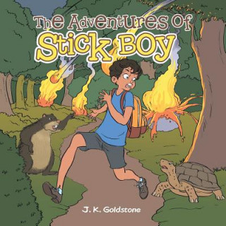 Libro Adventures of Stick Boy J. K. Goldstone