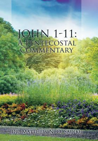 Книга John 1-11 Dr Matthew N. O. Sadiku