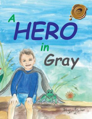 Könyv Hero in Gray Cherie L. Braham