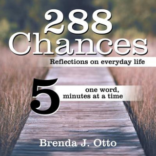 Kniha 288 Chances Brenda J. Otto