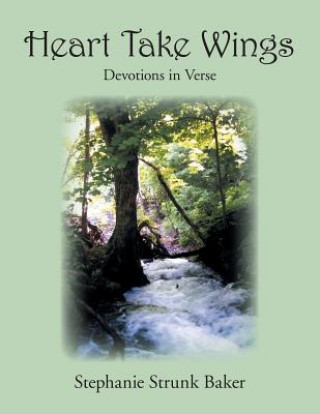 Książka Heart Take Wings Stephanie Strunk Baker