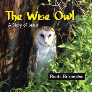 Knjiga Wise Owl Boots Brizendine