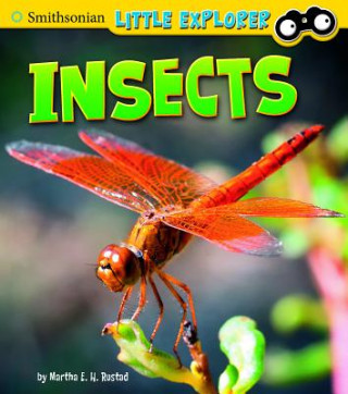 Libro Insects Martha E. H. Rustad