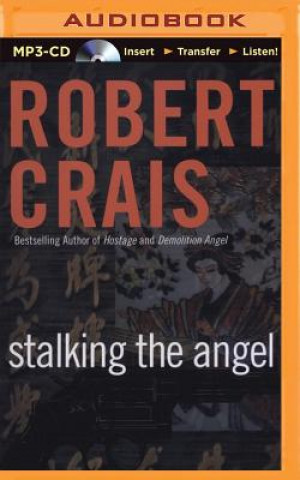 Digital Stalking the Angel Robert Crais