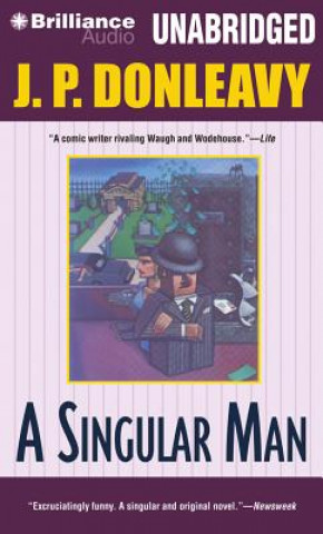 Audio A Singular Man James Patrick Donleavy