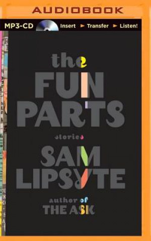 Digital The Fun Parts Sam Lipsyte