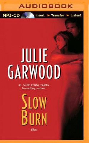 Digital Slow Burn Julie Garwood