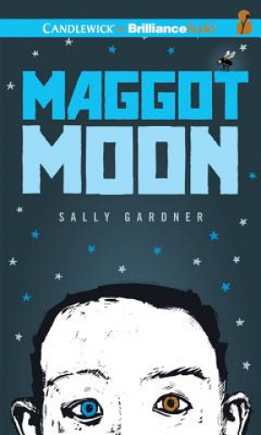 Audio Maggot Moon Sally Gardner