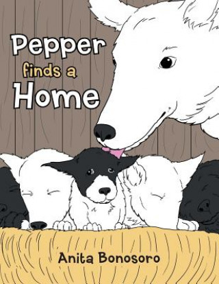 Kniha Pepper finds a Home Anita Bonosoro