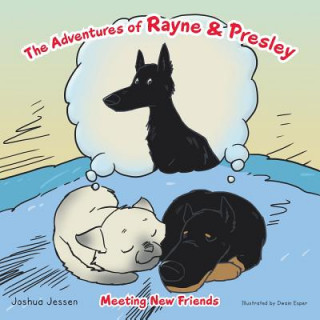 Könyv Adventures of Rayne & Presley Joshua Jessen