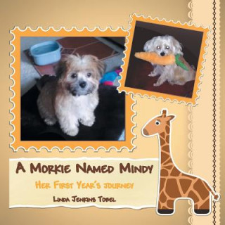 Carte Morkie Named Mindy Linda Jenkins Tobel