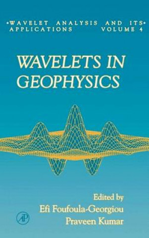 Carte Wavelets in Geophysics Efi Foufoula-Georgiou