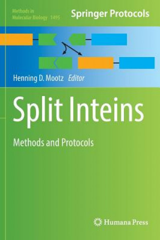 Book Split Inteins Henning Mootz