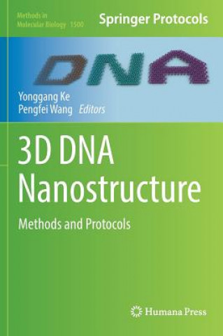 Kniha 3D DNA Nanostructure Yonggang Ke