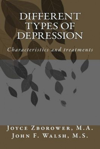 Kniha Different Types of Depression Joyce Zborower M a