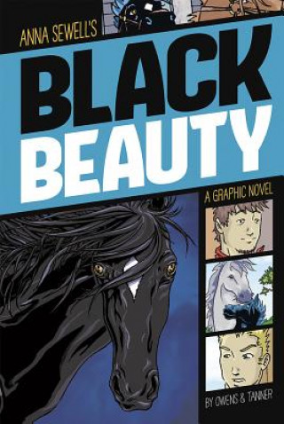 Livre Black Beauty Anna Sewell