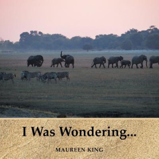 Buch I Was Wondering... Maureen King