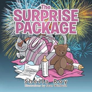 Książka Surprise Package Sheila Roy