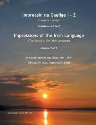 Könyv Impreasin na Gaeilge I - Z Seosamh Mac Ionnrachtaigh
