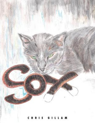 Book Sox Chris Gillam