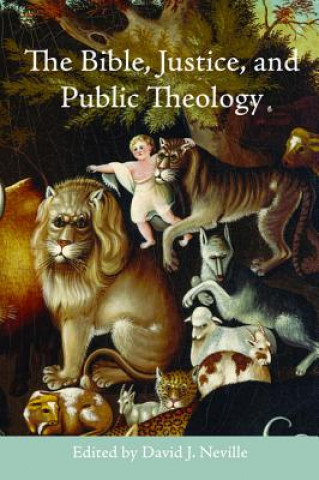 Kniha The Bible, Justice, and Public Theology David J. Neville