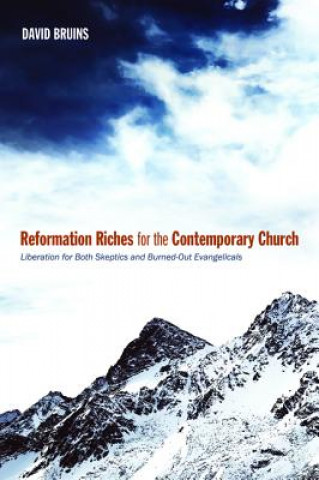 Книга Reformation Riches for the Contemporary Church David Bruins