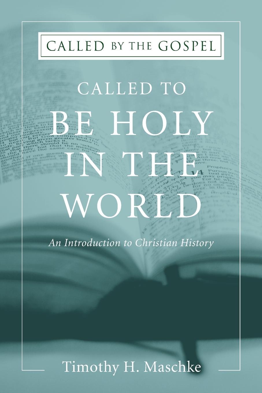 Carte Called to Be Holy in the World Timothy H. Maschke