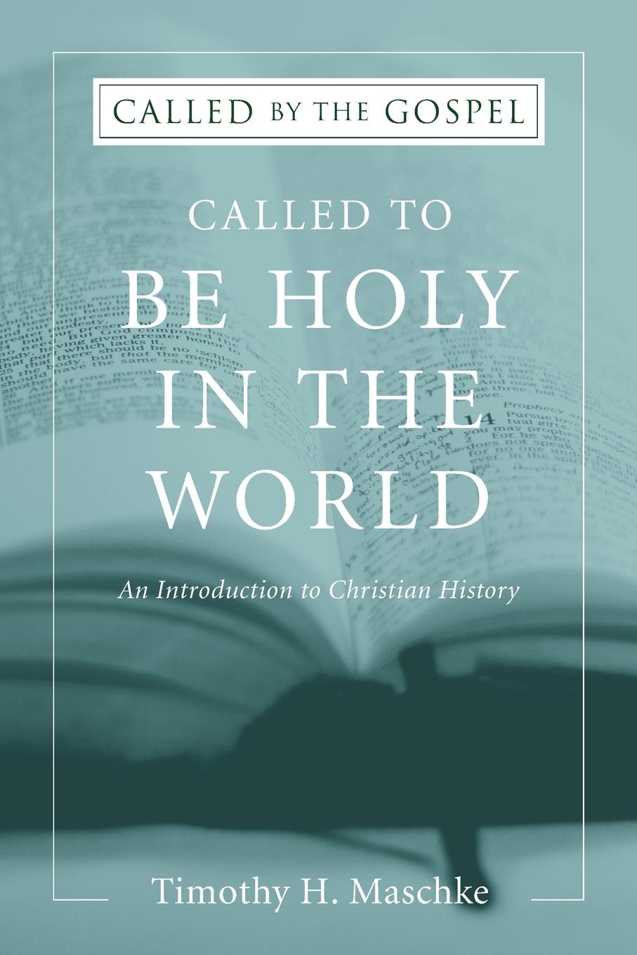 Livre Called to Be Holy in the World Timothy H. Maschke