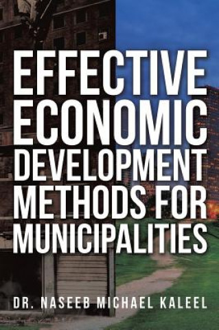 Knjiga Effective Economic Development Methods for Municipalities Dr Naseeb Michael Kaleel