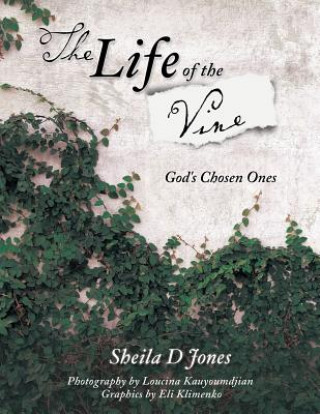 Carte Life of the Vine Sheila D. Jones