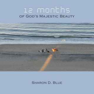 Carte 12 Months of God's Majestic Beauty Sharon D. Blue