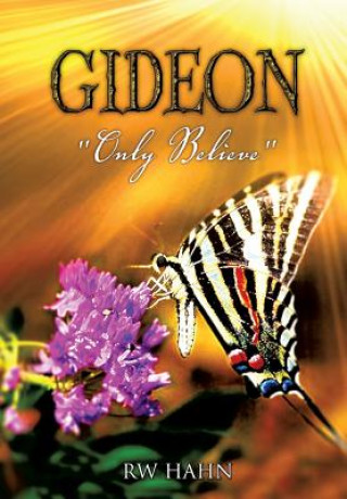 Könyv Gideon Rw Hahn