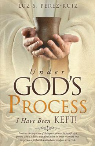 Carte Under God's Process Luz S. Perez-Ruiz