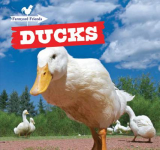 Knjiga Ducks Maddie Gibbs