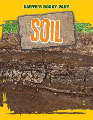 Buch Soil Richard Spilsbury
