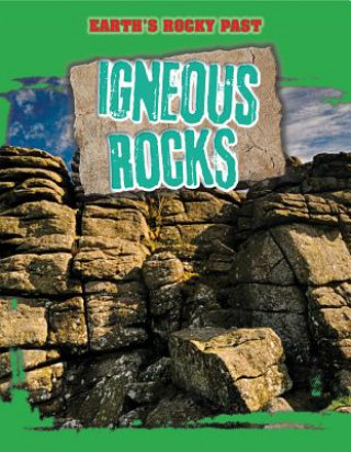 Knjiga Igneous Rocks Richard Spilsbury
