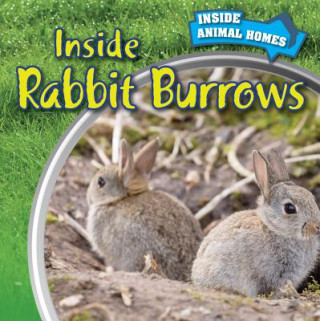 Knjiga Inside Rabbit Burrows Liz Chung