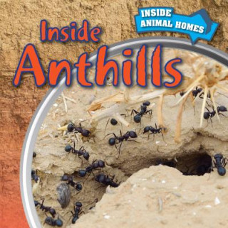 Knjiga Inside Anthills Henry Abbott