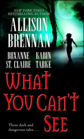 Carte What You Can't See Allison Brennan