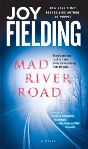 Kniha Mad River Road Joy Fielding