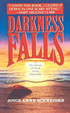 Buch Darkness Falls Joyce Anne Schneider