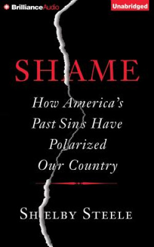 Audio Shame: How America's Past Sins Have Polarized Our Country Shelby Steele