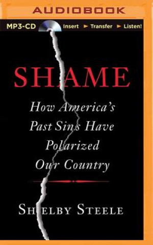 Digital Shame: How America's Past Sins Have Polarized Our Country Shelby Steele